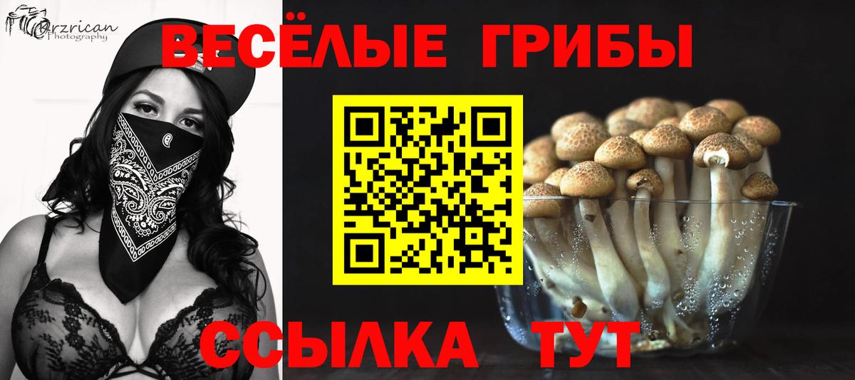 Нижний Новгород  Псилоцибиновые грибы MAGIC MUSHROOMS  как найти   Псилоцибиновые грибы мухоморы  Вход с VPN 